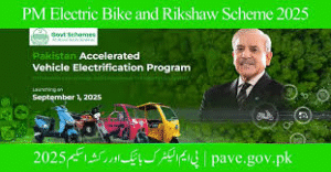 A Guide to Electric Cars in Pakistan